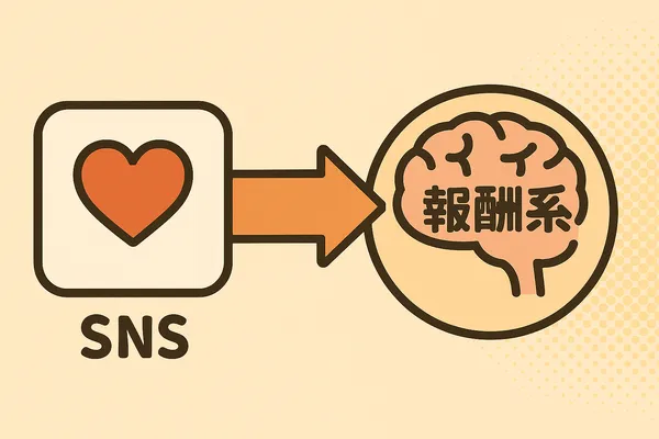 SNSと報酬系の関係を示す概念図